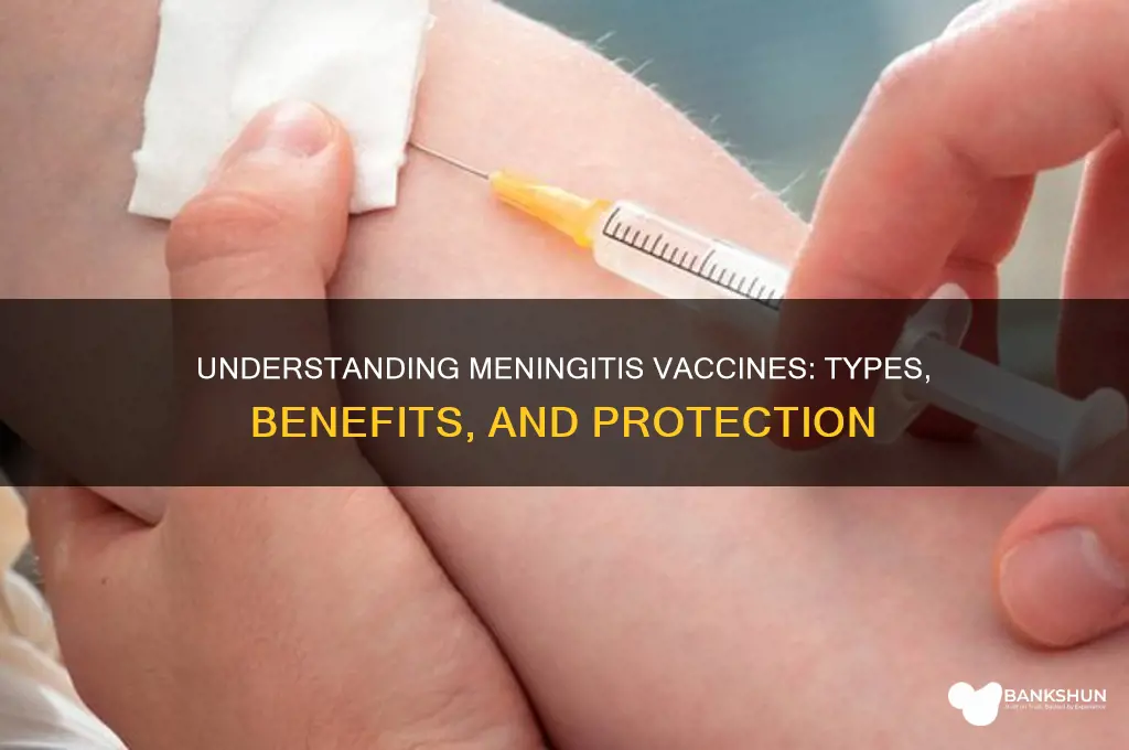 what are the types of meningitis vaccines