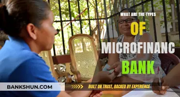 Exploring the Diverse Types of Microfinance Banks and Their Roles