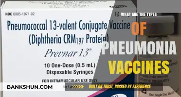 Understanding Pneumonia Vaccines: Types, Benefits, and Who Needs Them