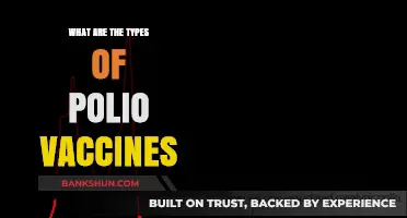 Understanding Polio Vaccines: Types, Benefits, and Global Impact Explained