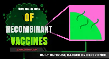 Exploring Recombinant Vaccines: Types, Development, and Applications