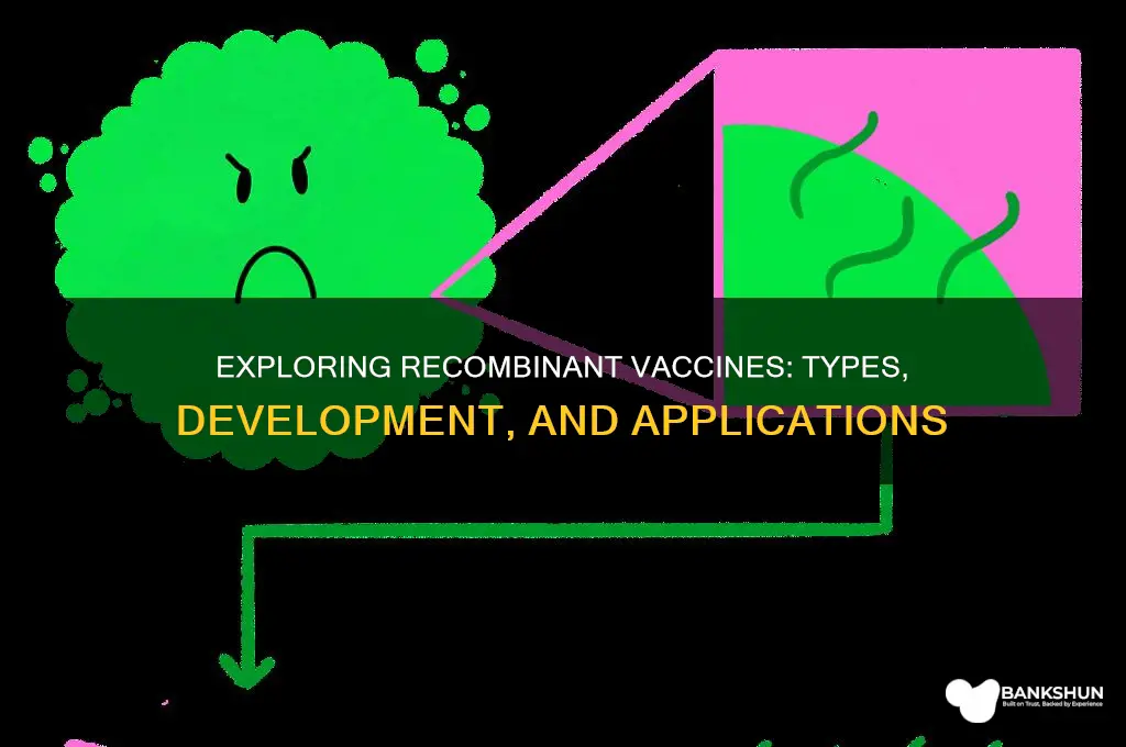 what are the types of recombinant vaccines