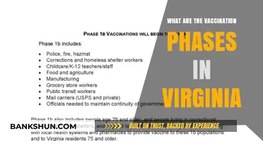 Understanding Virginia's COVID-19 Vaccination Phases and Rollout Plan