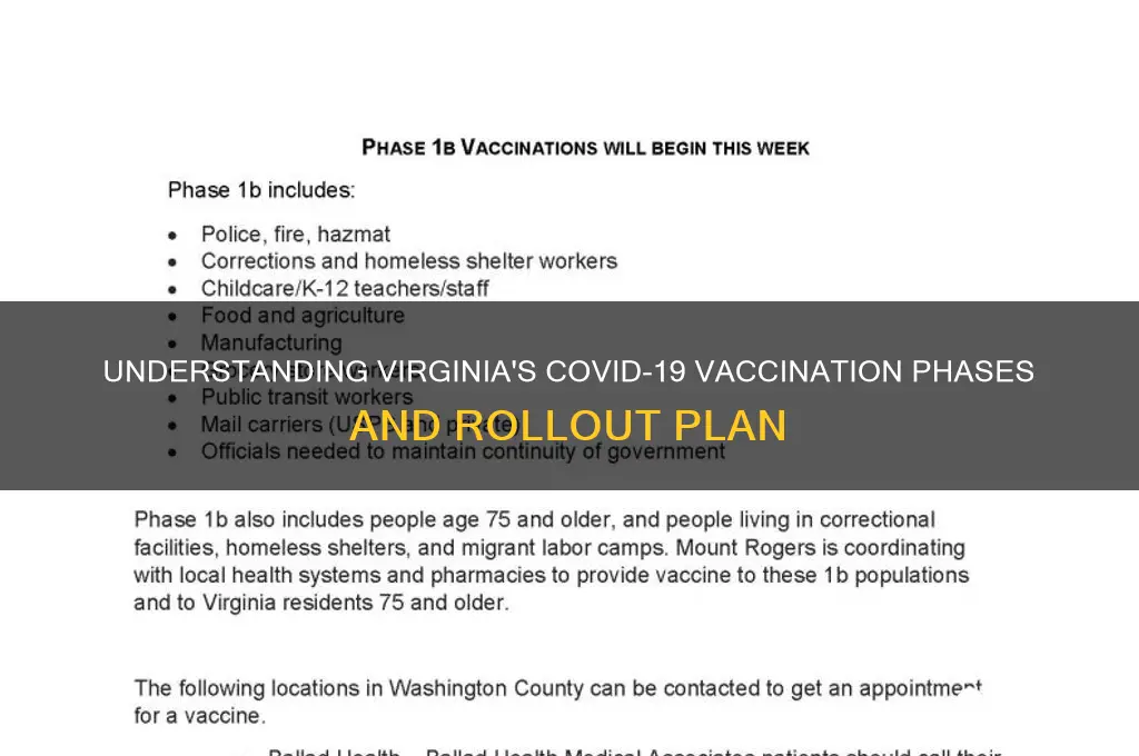 what are the vaccination phases in virginia