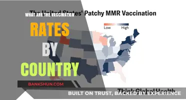 Global Vaccination Rates: A Country-by-Country Immunization Coverage Snapshot