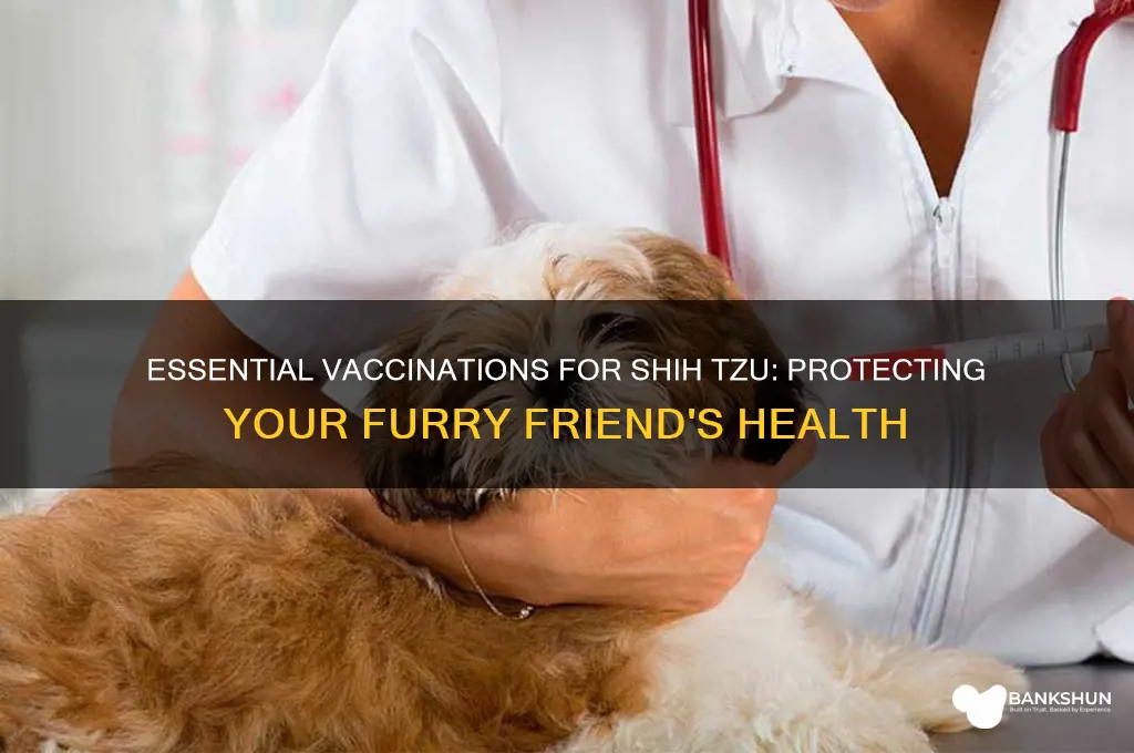 what are the vaccinations for shih tzu