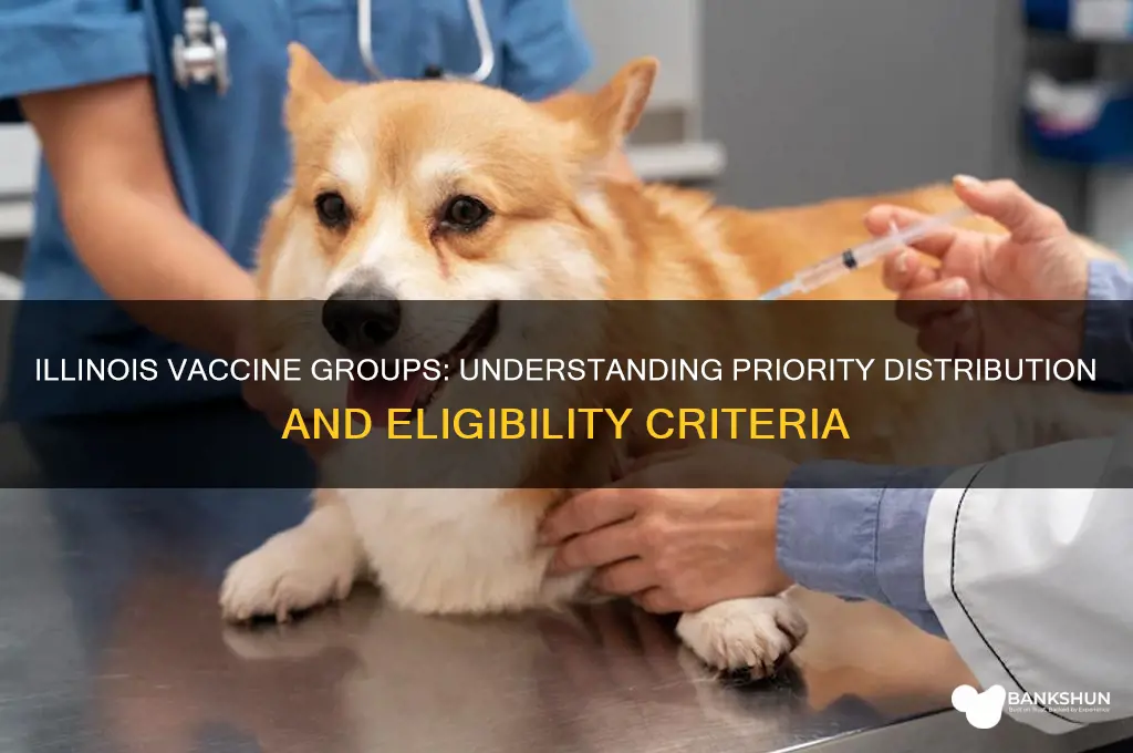 what are the vaccine groups in illinois