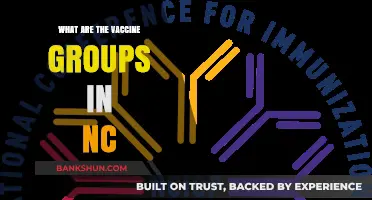 Understanding North Carolina's Vaccine Groups: A Comprehensive Guide