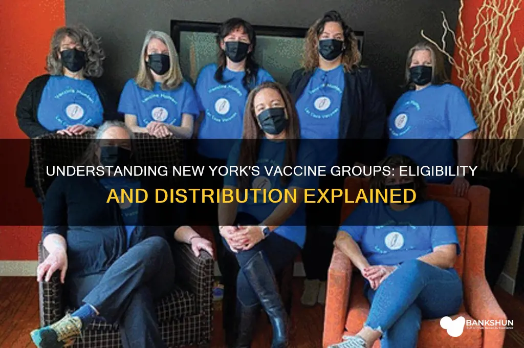 what are the vaccine groups in ny