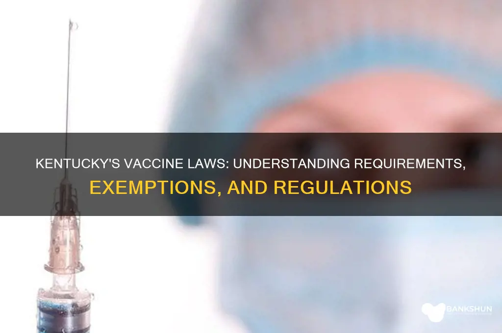 what are the vaccine laws in kentucky