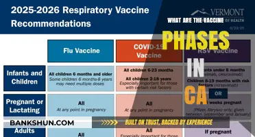 California's Vaccine Rollout Phases: A Comprehensive Breakdown