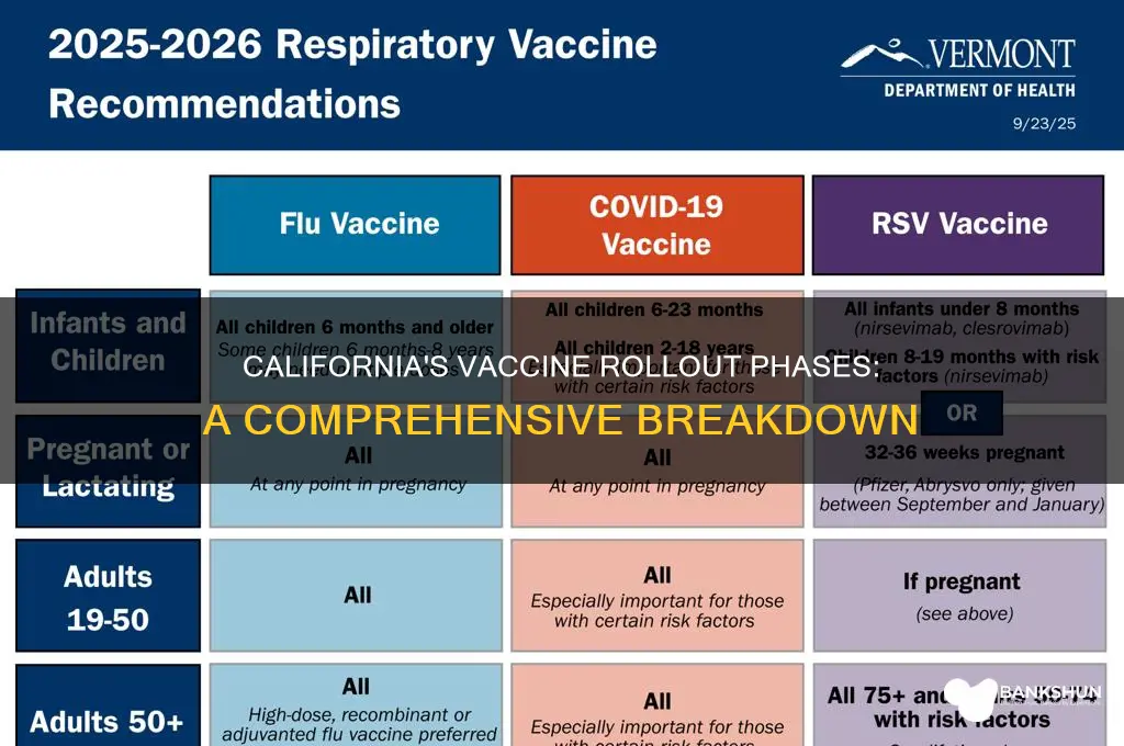 what are the vaccine phases in ca