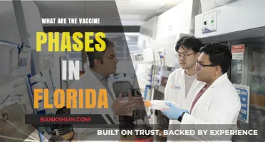 Florida's Vaccine Rollout: Understanding the Phases and Eligibility Criteria