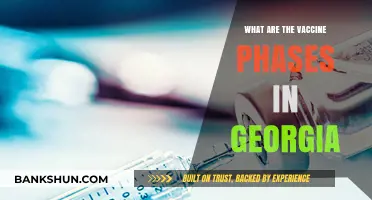 Georgia's Vaccine Rollout: Understanding the Phases and Eligibility Criteria