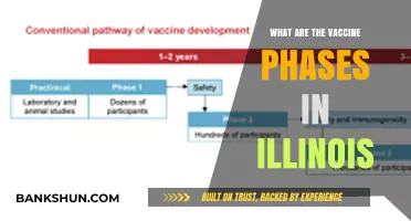 Illinois Vaccine Rollout: Understanding the Phases and Eligibility Criteria