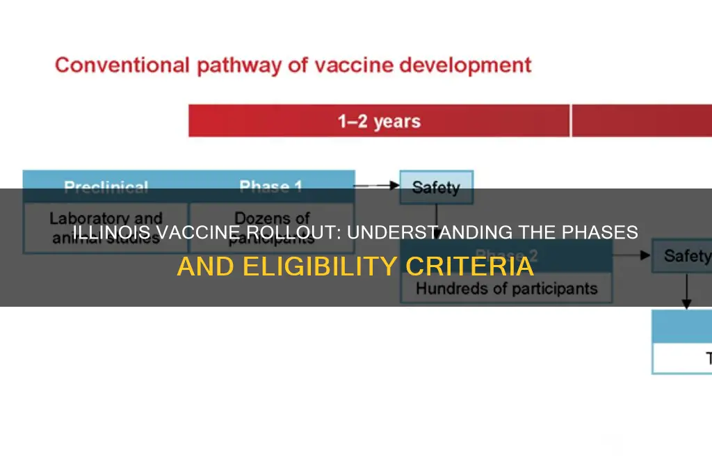 what are the vaccine phases in illinois