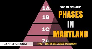 Maryland's Vaccine Rollout: Understanding the Phases and Eligibility Criteria