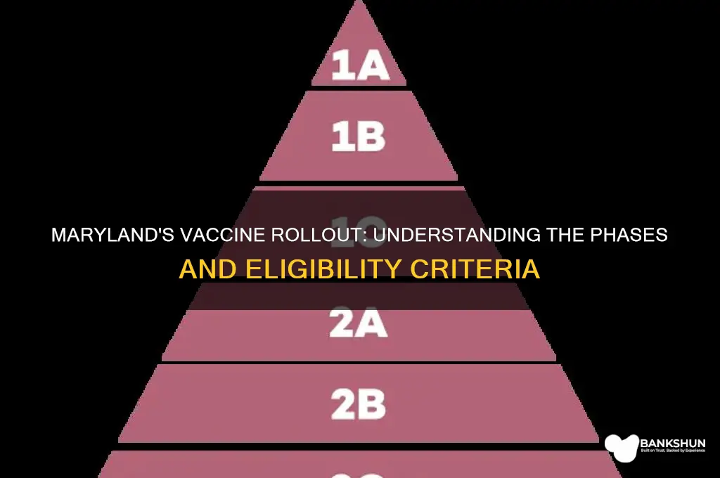 what are the vaccine phases in maryland