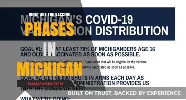 Michigan's Vaccine Rollout: Understanding the Phases and Eligibility Criteria