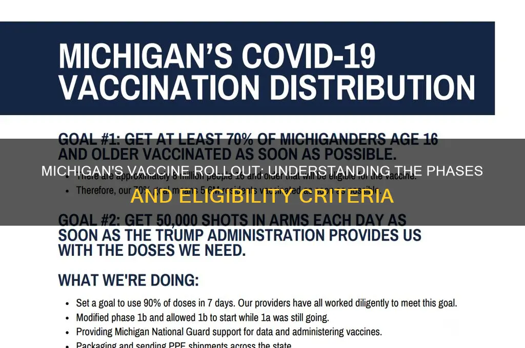 what are the vaccine phases in michigan
