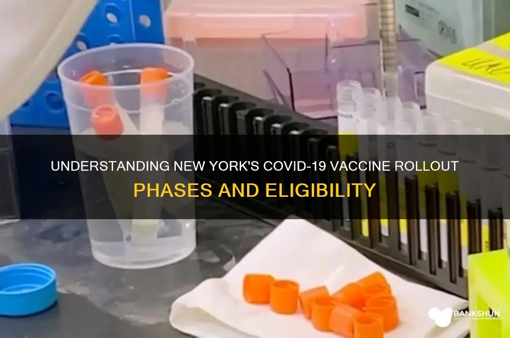 what are the vaccine phases in ny