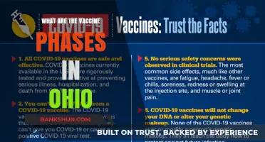 Ohio's Vaccine Rollout: Understanding the Phases and Eligibility Criteria