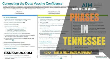 Understanding Tennessee's Vaccine Phases: A Comprehensive Guide to Rollout Stages