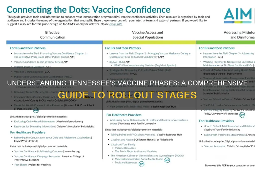 what are the vaccine phases in tennessee