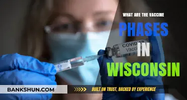 Wisconsin's Vaccine Rollout: Understanding the Phases and Timeline