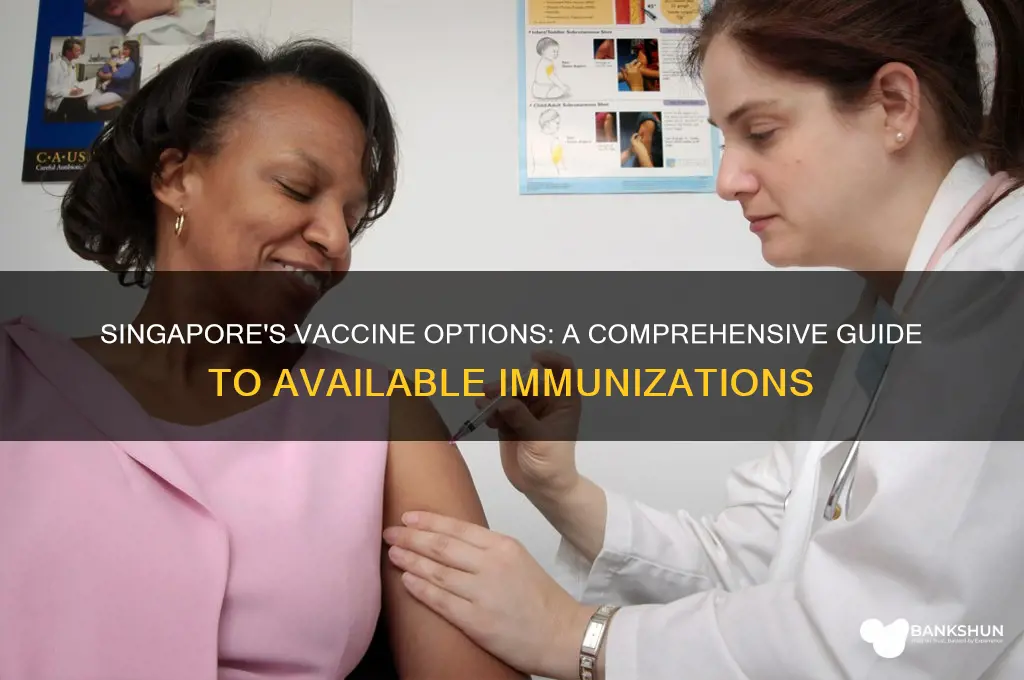 what are the vaccines available in singapore