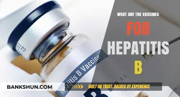 Understanding Hepatitis B Vaccines: Types, Benefits, and Importance