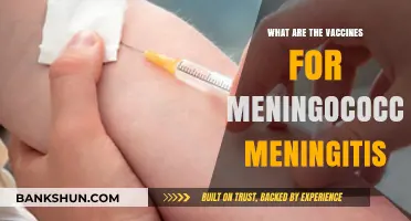 Understanding Meningococcal Meningitis Vaccines: Types, Benefits, and Importance