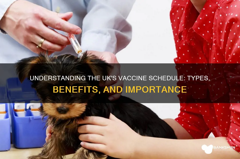 what are the vaccines in the uk