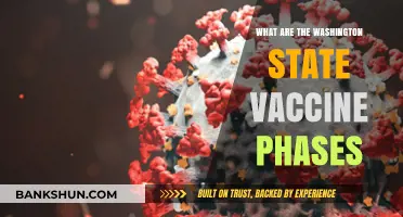 Washington State Vaccine Phases: Understanding the Rollout Plan