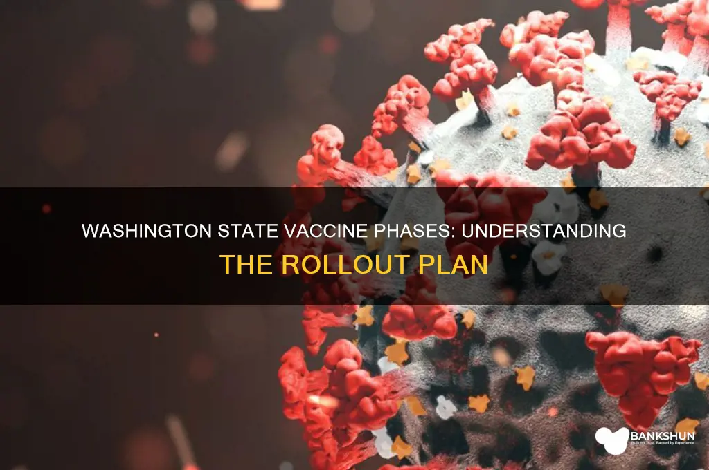 what are the washington state vaccine phases