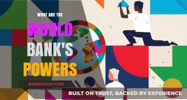 Understanding the World Bank's Global Influence and Authority