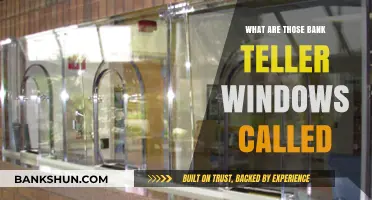 Unveiling the Mystery: What Are Those Bank Teller Windows Called?