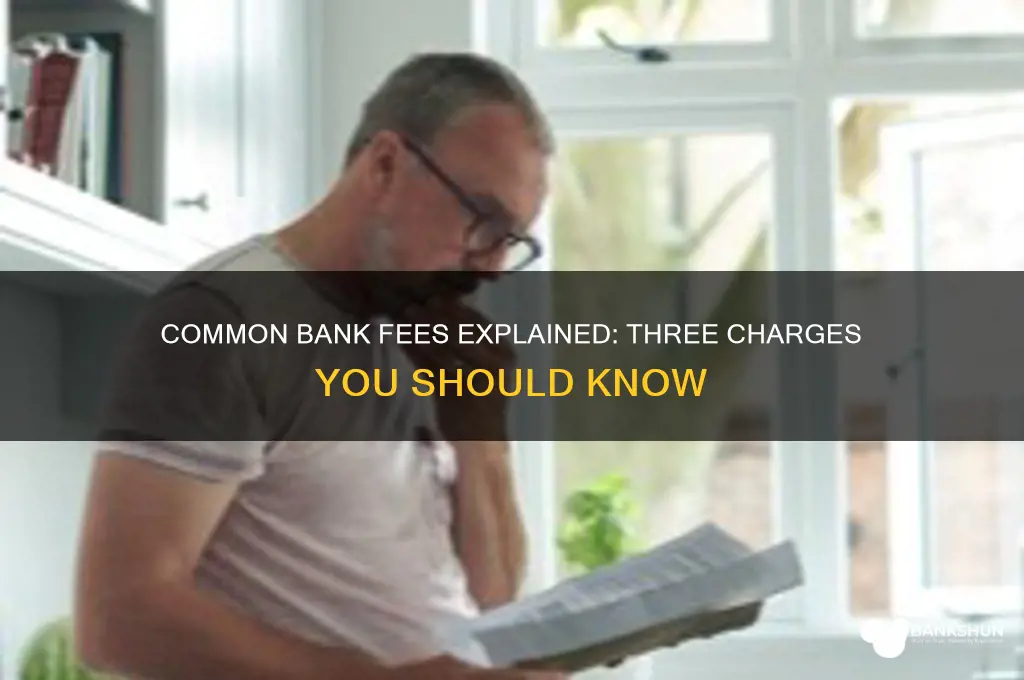 what are three examples of bank fees