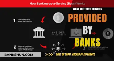 Essential Banking Services: Three Key Offerings from Your Bank