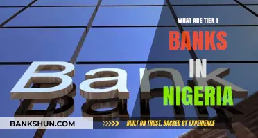 Understanding Nigeria's Top Tier 1 Banks: A Comprehensive Overview
