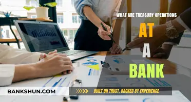 Understanding Treasury Operations: A Bank's Core Financial Management Functions
