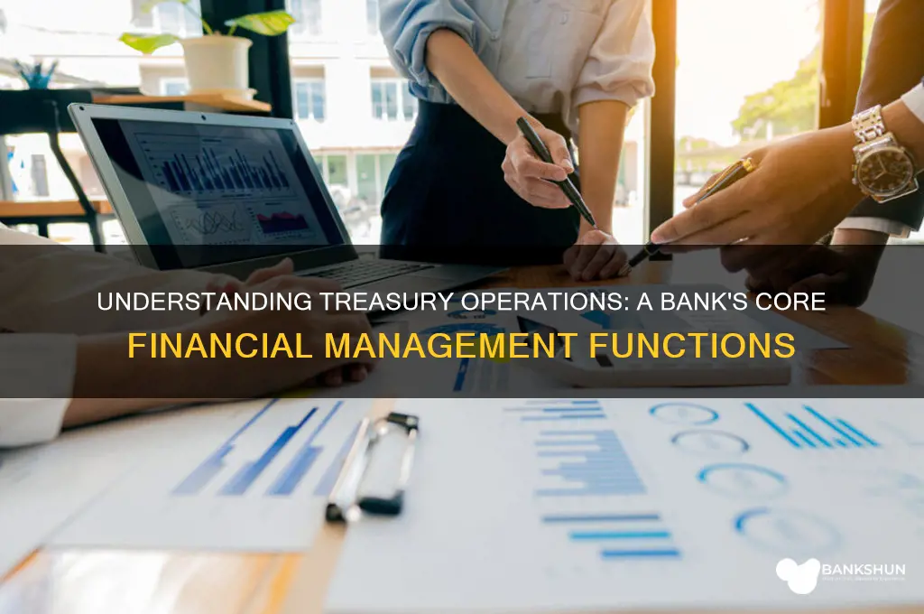 what are treasury operations at a bank