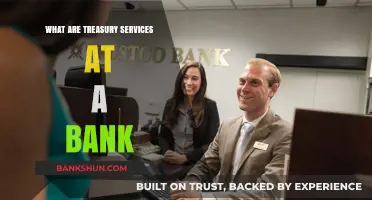 Understanding Treasury Services: A Comprehensive Guide to Bank Offerings