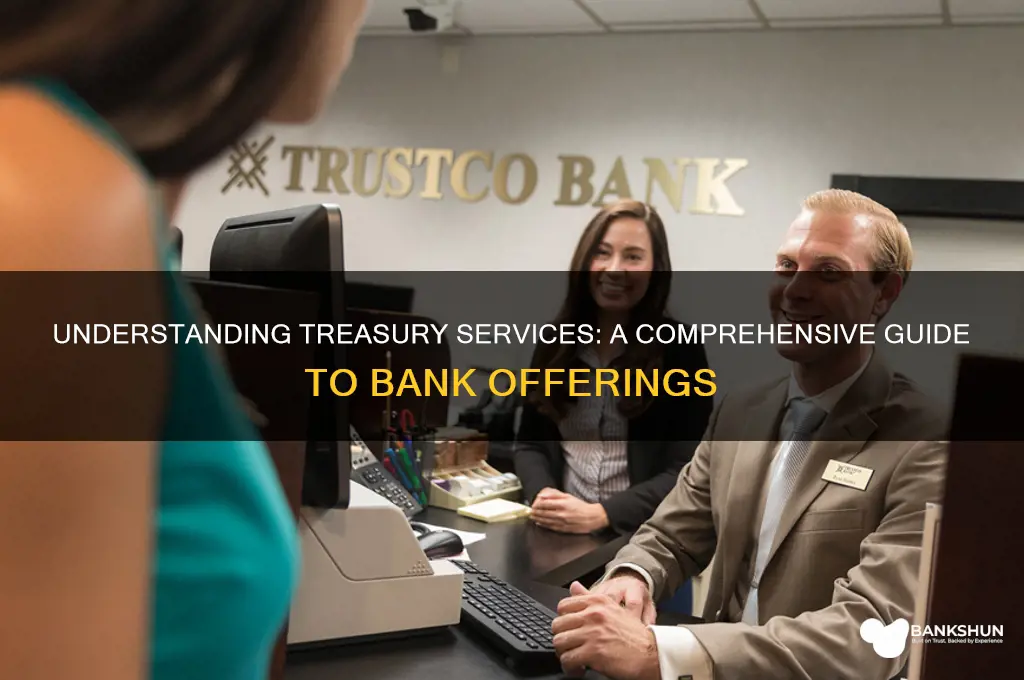 what are treasury services at a bank