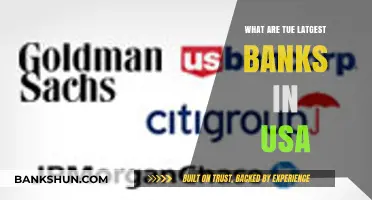 Exploring the Largest Banks in the USA: A Comprehensive Overview