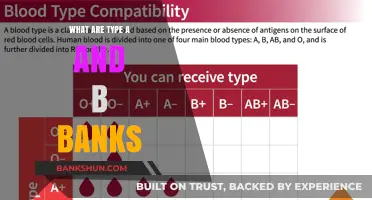 Understanding Type A and B Banks: Key Differences and Roles