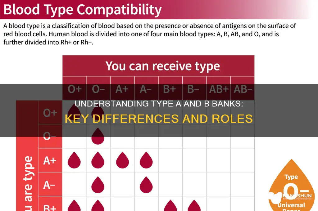 what are type a and b banks