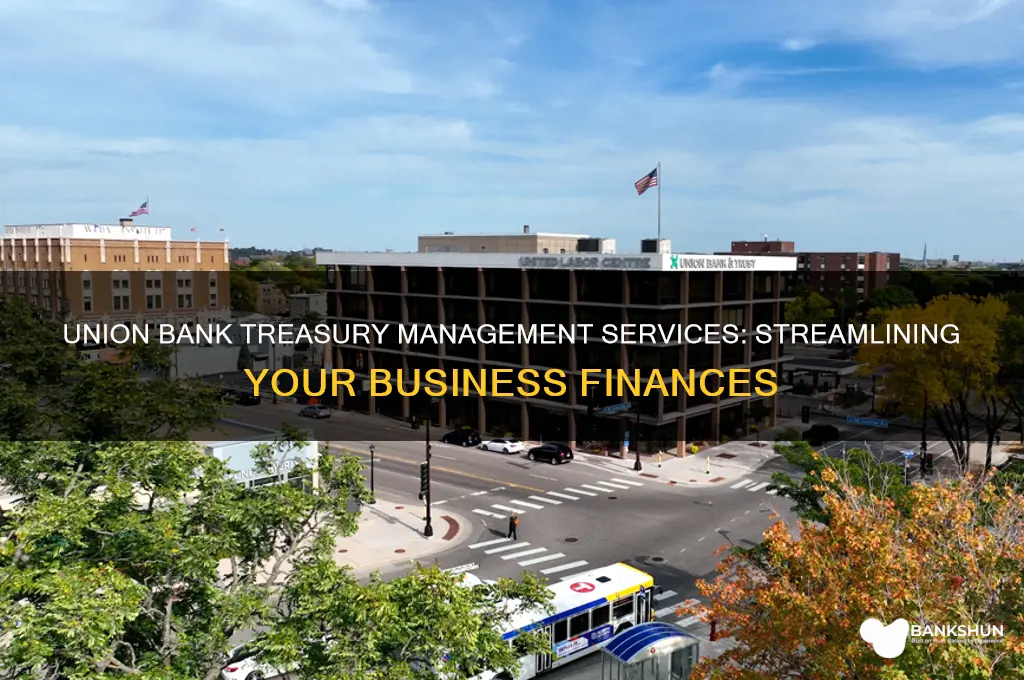 what are union bank treasury management services