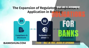 Understanding US Government's Regulatory Obligations for Banks: Key Insights