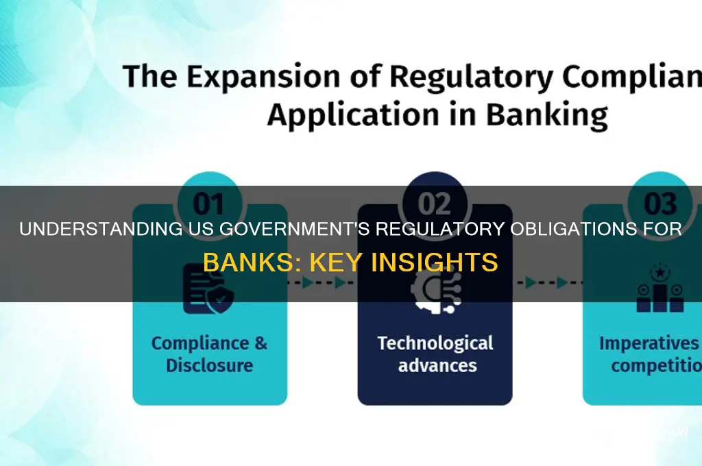 what are us government obligations for banks